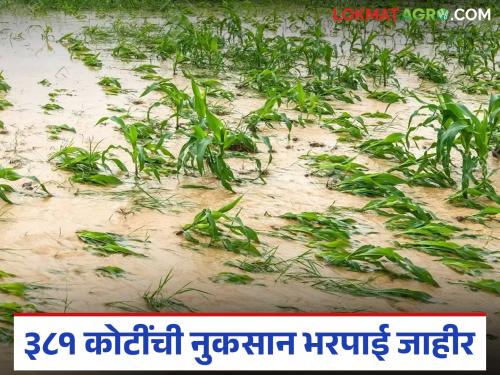 Farmers in 'this' district will get compensation of Rs 381 crore; Amount will be deposited directly into their account | 'या' जिल्ह्यातील शेतकऱ्यांना मिळणार ३८१ कोटींची नुकसान भरपाई; थेट खात्यावर होणार रक्कम जमा