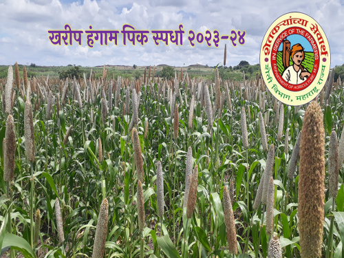 Participate in Kharif season crop competition and win attractive prizes | खरीप हंगाम पीक स्पर्धेत भाग घ्या आणि जिंका आकर्षक रक्कमेची बक्षिसे