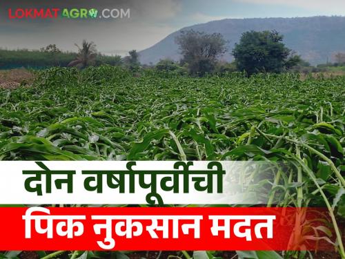 During the period 2020 to 2022, aid has been announced for the loss of agricultural crops due to natural calamities | २०२० ते २०२२ या कालावधीत नैसर्गिक आपत्तीमुळे झालेल्या शेतीपिकांच्या नुकसानाकरिता मदत जाहीर