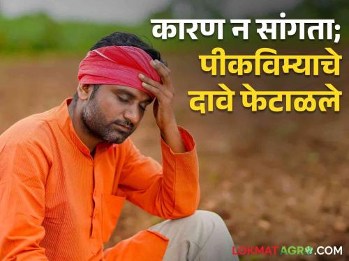 Crop Insurance The company rejected crop insurance claims of 71 thousand farmers without giving any reason | Crop Insurance काहीही कारण न सांगता ७१ हजार शेतकऱ्यांच्या पीकविम्याचे दावे कंपनीने फेटाळले