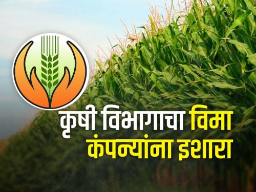 Crop Insurance Pay the remaining advance to the farmers, otherwise be ready for action | Crop Insurance शेतकऱ्यांना उरलेला अग्रीम द्या, अन्यथा कारवाईस तयार राहा