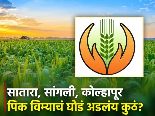 Difficulty in crop insurance 'Agrim' due to objection by insurance companies; What are the objections? | विमा कंपनींच्या हरकतीमुळे पीकविमा 'अग्रिम'ला अडचण; काय आहेत हरकती?