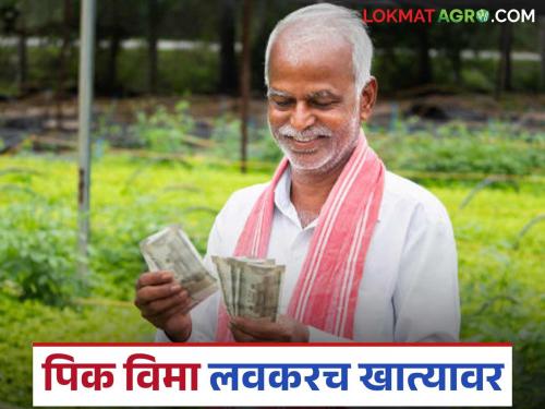 Crop insurance worth Rs 59.19 crore approved for affected farmers in this taluka of Solapur district | सोलापूर जिल्ह्यातील या तालुक्यातील बाधित शेतकऱ्यांना ५९ कोटी १९ लाखांचा पीकविमा मंजूर