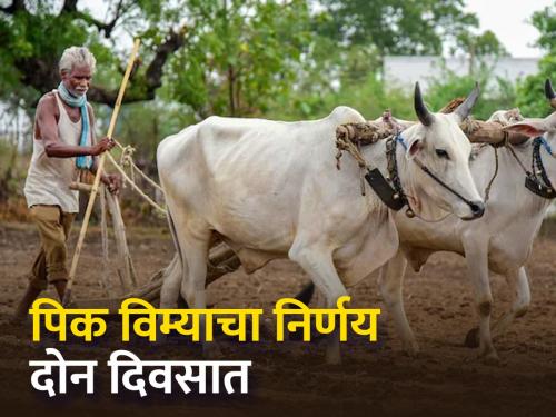 Give thousand crores to companies, only 25 percent insurance amount to farmers | कंपन्यांना हजार कोटी द्या, तरच शेतकऱ्यांना विम्याची २५ टक्के रक्कम