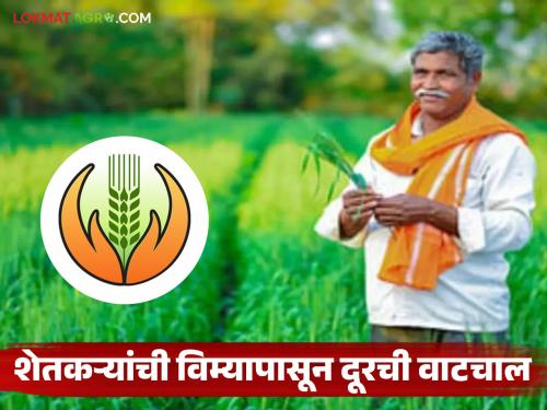 latest news Crop Insurance: Journey from Rs 1 to Rs 1,000: Is crop insurance beyond the reach of farmers? | Crop Insurance : १ रुपयातून हजार रुपयांपर्यंत प्रवास: पीक विमा शेतकऱ्यांच्या आवाक्याबाहेर?