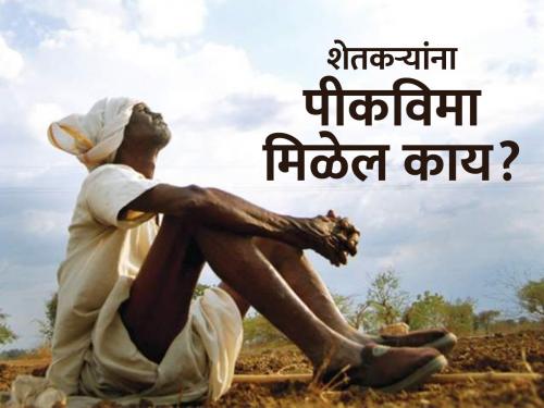 When will advance crop insurance compensation be received? | अग्रीम पीकविमा भरपाई कधी मिळणार?