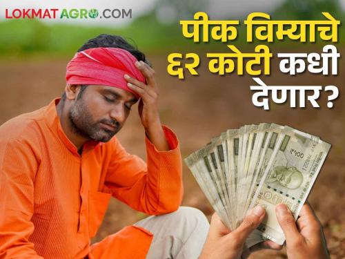 Crop Insurance When will 62 crores of crop insurance of 1 lakh 5 thousand farmers be paid? | Crop Insurance १ लाख ५ हजार शेतकऱ्यांचे पीक विम्याचे ६२ कोटी कधी देणार?