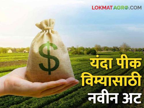 Kharif Crop Insurance Government imposes new conditions for crop insurance for farmers; Farmers in trouble | Crop Insurance New Rules पीक विम्यासाठी शासनाकडून शेतकऱ्यांसाठी नवीन अट लागू; शेतकरी अडचणीत