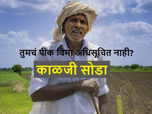 how to get crop insurance aid for non listed crops | तुमचं पीक विमा यादीत नाही? अशी मिळवा पीक विम्याची मदत