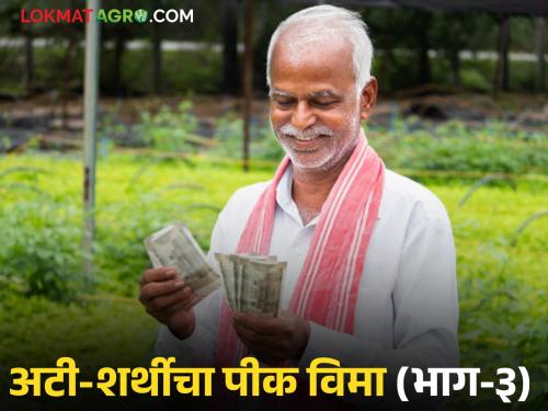 Crop Insurance: Unable to get range in the field, difficulty in e-crop inspection, how to get insurance? | Crop Insurance : शेतात रेंज मिळेना, ई पीक पाहणीची अडचण, विमा काढायचा कसा?