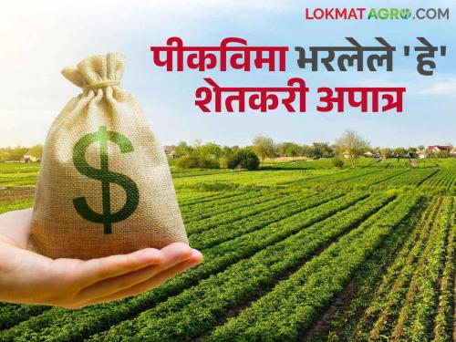 4 lakh 99 thousand 280 farmers who had paid crop insurance for just one rupee were not approved for even a single rupee. | एक रुपया भरायचा म्हणून पीकविमा भरलेल्या ४ लाख ९९ हजार २८० शेतकऱ्यांना एक दमडीही मंजूर झाली नाही