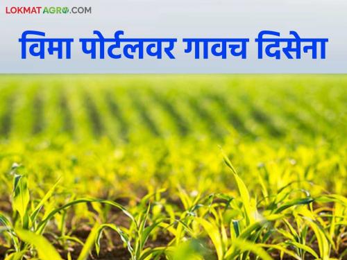 'This' village in the state does not appear on the crop insurance online portal; Two thousand farmers affected | राज्यातील 'हे' गाव पीकविमा ऑनलाईन पोर्टलवर दिसेना; दोन हजार शेतकऱ्यांना फटका