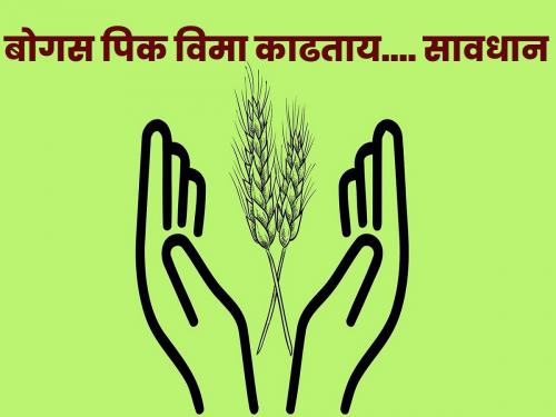 Action will be taken against you if you take out bogus crop insurance! | बोगस पीकविमा काढल्यास होईल तुमच्यावर कारवाई!