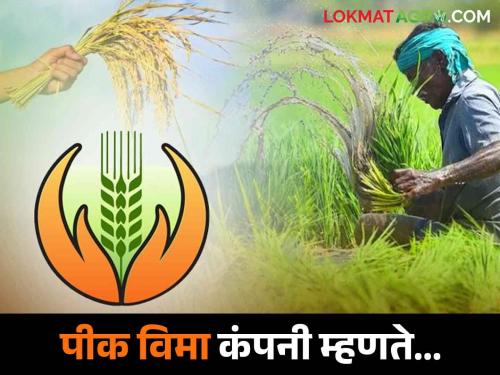 Latest News Pik Vima Yojna crop insurance cannot be given to farmers without money from maharashtra government | Pik Vima Yojna : विमा कंपनी म्हणते, 'सरकारकडूनच येणं बाकी, म्हणून शेतकऱ्यांना देणं होत नाही'!