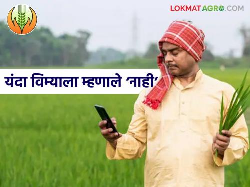 latest news Crop Insurance: Has farmers' trust in crop insurance decreased? Large-scale depression this year | Crop Insurance : शेतकऱ्यांचा पीक विम्यावर विश्वास घटला? यंदा मोठ्या प्रमाणात उदासीनता