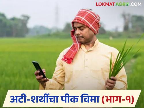 latest news Crop Insurance: Farmers looted in crop insurance application; Accused of charging more than the government rate | Crop Insurance : पीक विमा अर्जात शेतकऱ्यांची लूट; शासन दरापेक्षा जास्त वसुलीचा आरोप