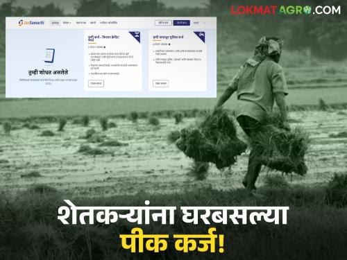 latest news Crop Loan: Farmers will get crop loan approval from home; Know the application process | Crop Loan : शेतकऱ्यांना घरबसल्या मिळणार पीक कर्ज मंजुरी; जाणून घ्या अर्ज प्रक्रिया