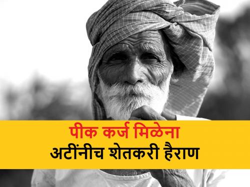 Crop Loan: Farmers not getting crop loans and crop insurance due to loan disbursement conditions | Crop Loan: शेतकऱ्यांना मिळेना पीक कर्ज आणि पीक विमा; कर्जवाटपांच्या अटींचा फटका