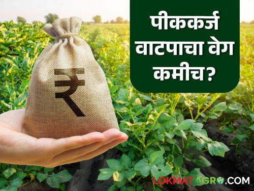 latest news Kharif Crop Loan: Kharif season is halfway over… Farmers continue to beg for loans Read in detail | Kharif Crop Loan : खरीप हंगाम अर्ध्यावर…शेतकऱ्यांची कर्जासाठी वणवण सुरुच वाचा सविस्तर