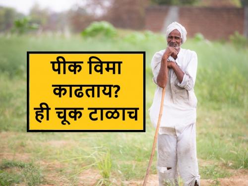 Pik Vima: Farmer brothers, there will be no change in the name while taking crop insurance, right? Check this out | Pik Vima: शेतकरी बांधवांनो, पीक विमा काढताना ही छोटीसी चूक ठरेल त्रासदायक, जाणून घ्या