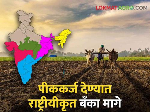 Crop Loan Nationalized banks cant help in giving crop loans to farmers | Crop Loan शेतकऱ्यांना पीककर्ज देण्यात राष्ट्रीयीकृत बँकांचा हात आखडता