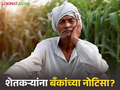 latest news Crop Loan: Are farmers afraid of loan recovery notices from nationalized banks? Read in detail | Crop Loan : शेतकऱ्यांना राष्ट्रीयकृत बँकांच्या कर्जवसुली नोटीसची धास्ती? वाचा सविस्तर