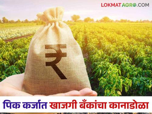 Pik Karja Vatap: Private Banks back on for crop loan distribution farmer | Pik Karja Vatap : पीककर्ज वाटपांमध्ये खासगी बँकांचा आखडता हात