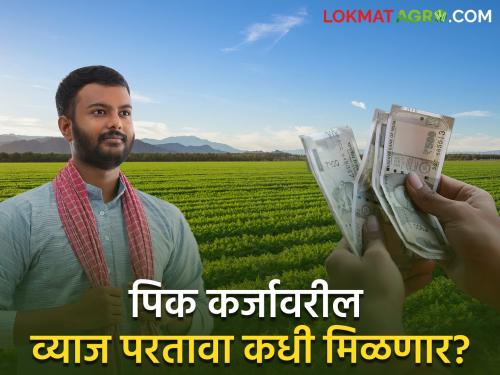 When will interest amount on crop loan paid by farmers be recovered? | शेतकऱ्यांनी भरलेल्या पीक कर्जावरील व्याजाची रक्कम माघारी कधी मिळणार?