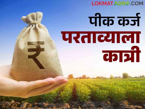 Pik Karja: Crop loan interest refund decrease percentage by Central government | Pik Karja: पीक कर्ज व्याज परताव्याला केंद्र सरकारची कात्री