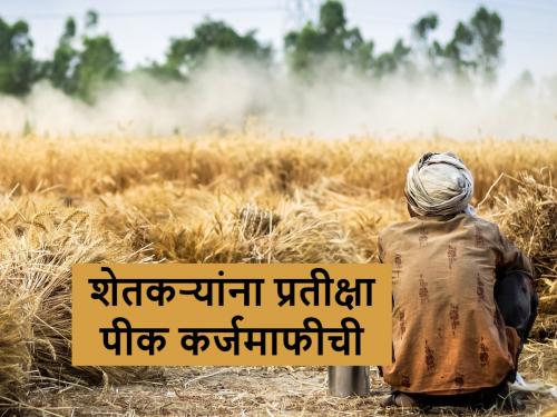 crop loan: Will crop loan waiver pik karj mafi be available during monsoon season | Crop loan: हिवाळी अधिवेशनात घोषणा झाली; पावसाळ्यात कर्जमाफी मिळेल का?