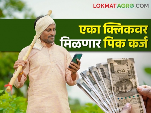 Improvements in Kisan Credit Card Scheme; Apply at home without documents for pick loan | किसान क्रेडीट कार्ड योजनेमध्ये होणार सुधारणा; पिक कर्जासाठी कागदपत्राशिवाय करा घरबसल्या अर्ज