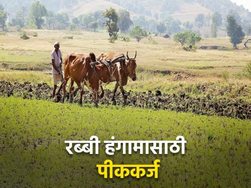 20 thousand 782 crore loan disbursement target during Rabi season | रब्बी हंगामात २० हजार ७८२ कोटी रुपये कर्ज वितरणाचे उद्दिष्ट