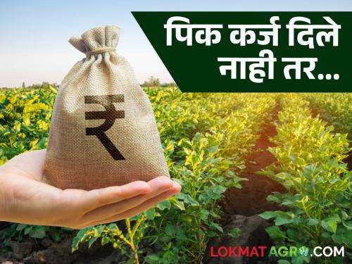Pik Karj : Legal action will be taken against banks that deny crop loans; Revenue Minister's instructions | Pik Karj : पीक कर्ज नाकारणाऱ्या बँकांवर कायदेशीर कारवाई करणार; महसूल मंत्र्यांचे निर्देश