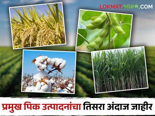 Food Grain Production Estimated total food grain production in the country this year is 3288.52 lakh tonnes | Food Grain Production देशात यावर्षी एकूण ३२८८.५२ लाख टन अन्नधान्य उत्पादनाचा अंदाज