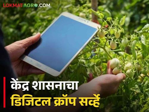 Latest News digital crop survey in 2858 villages of 34 talukas in Maharashtra see about project | Digital Crop Survey : राज्यात 34 तालुक्यांतील 2558 गावांत यंदा डिजिटल क्रॉप सर्व्हे, केंद्र शासनाचा प्रकल्प 