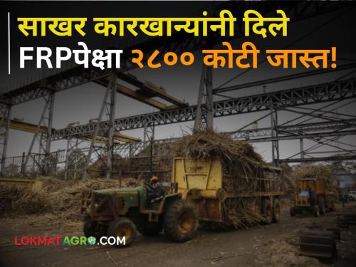 Sugarcane FRP sugar factory mills have paid farmers Rs 2,800 crore more than FRP | Sugarcane FRP : मागच्या गाळपात साखर कारखान्यांनी शेतकऱ्यांना दिले एफआरपीपेक्षा तब्बल २ हजार ८०० कोटी