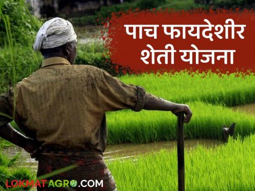 Latest news 5 most beneficial government schemes for farmers, know in detail | farmer Scheme : शेतकऱ्यांसाठी 5 सर्वात फायदेशीर सरकारी योजना, जाणून घ्या सविस्तर 