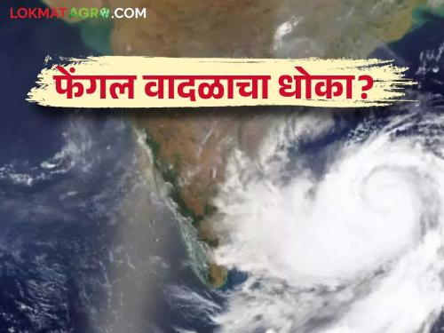 Cyclone Fengal : Cyclone Fengal alert warning read in details IMD Report aleart | Cyclone Fengal : 'या' राज्यांना सतर्कतेचा इशारा ; काळजी घेण्याचे आवाहन IMD ने केला अलर्ट जारी