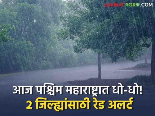 Maharashtra Rain Updates monsoon Chance of heavy rain in western parts of the state today! Red alert for 'these' 2 districts | Maharashtra Rain Updates : राज्याच्या पश्चिम भागांत आज जोरदार पावसाची शक्यता! 'या' २ जिल्ह्यांसाठी रेड अलर्ट