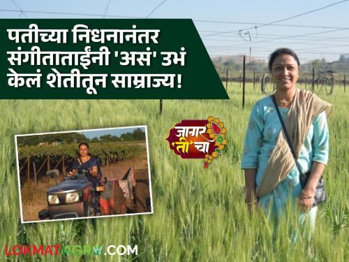 Women Farmer: After the death of her husband, she fought with neta and made a name for herself in grape farming; The struggle of the musicians of Nashik! | Women Farmer : पतीच्या निधनानंतर 'ती' नेटाने लढली अन् द्राक्ष शेतीतून नाव कमावले; नाशिकच्या संगीताताईंची संघर्षगाथा!