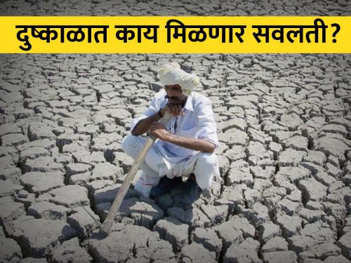 What concessions will be given to the 40 talukas declared drought? | दुष्काळ जाहीर झालेल्या ४० तालुक्यांना काय सवलती मिळणार?