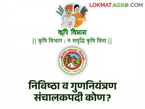 Agriculture Department Director of Input and Quality Control Vikas Patil Retired! Who will be required for the post? | Agriculture Department : निविष्ठा व गुणनियंत्रण संचालक विकास पाटील निवृत्त! पदावर कुणाची लागणार वर्णी?