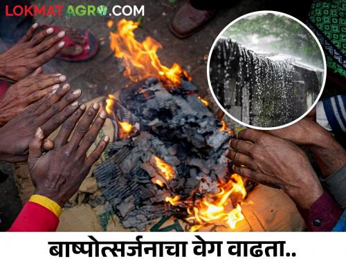 Weather: Chance of light rain in Vidarbha, how will the temperature be in Marathwada? | Weather: पुन्हा अवकाळीचे ढग! राज्यात या भाागात पावसाची शक्यता, कसे राहणार तापमान?