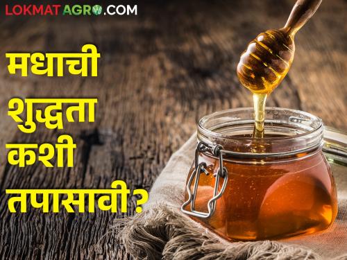 How to identify whether honey is pure or not? Check with these 3 easy methods.. | मध शुद्ध आहे की नाही कसे ओळखायचे? या ३ सोप्या पद्धतींनी तपासा..