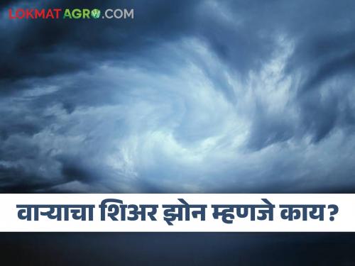 Weather and monsoon season Do you know what is wind shear zone? | Weather and Monsoon : वाऱ्याचा शिअर झोन म्हणजे काय माहितीये का?