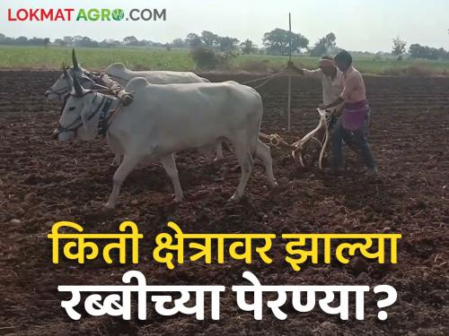 Rabi Crop Sowing How many areas have been sown in the Rabi season so far | Rabi Crop Sowing : रब्बी हंगामात आत्तापर्यंत किती क्षेत्रावर झाल्या पेरण्या?