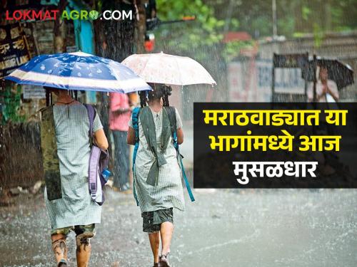 Chance of rain with lightning in 6 districts of Marathwada | मराठवाड्यात ६ जिल्ह्यांत विजांच्या कडकडाटासह पावसाची शक्यता