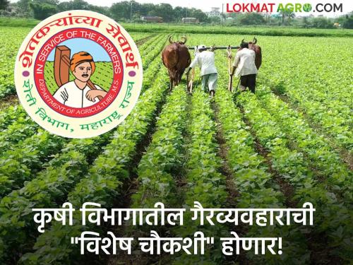 Agriculture: Special inquiry to be conducted into 'those' irregularities in 'input and quality control' in the Agriculture Department | Agriculture : कृषी विभागातील 'निविष्ठा व गुणनियंत्रण'मधील 'त्या' गैरव्यवहाराची होणार विशेष चौकशी