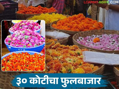 The largest flower market in the state; Daily turnover of about Rs 30 crore | राज्यातील सर्वात मोठा फुलबाजार; दररोज सुमारे ३० कोटी रुपयांची आर्थिक उलाढाल