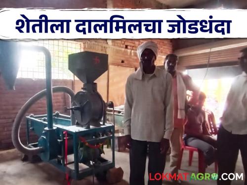 Latest News Farmer joins agriculture by setting up dalmill on 35 percent subsidy | Dal Mill : 35 टक्के अनुदानातून उभारली दालमिल, आता शेतीला पर्यायी व्यवसायाची जोड